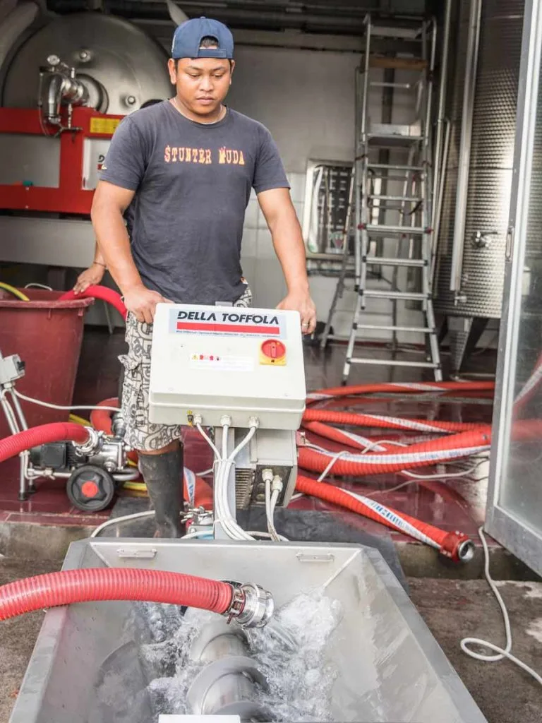 Cantine Balita winery worker
